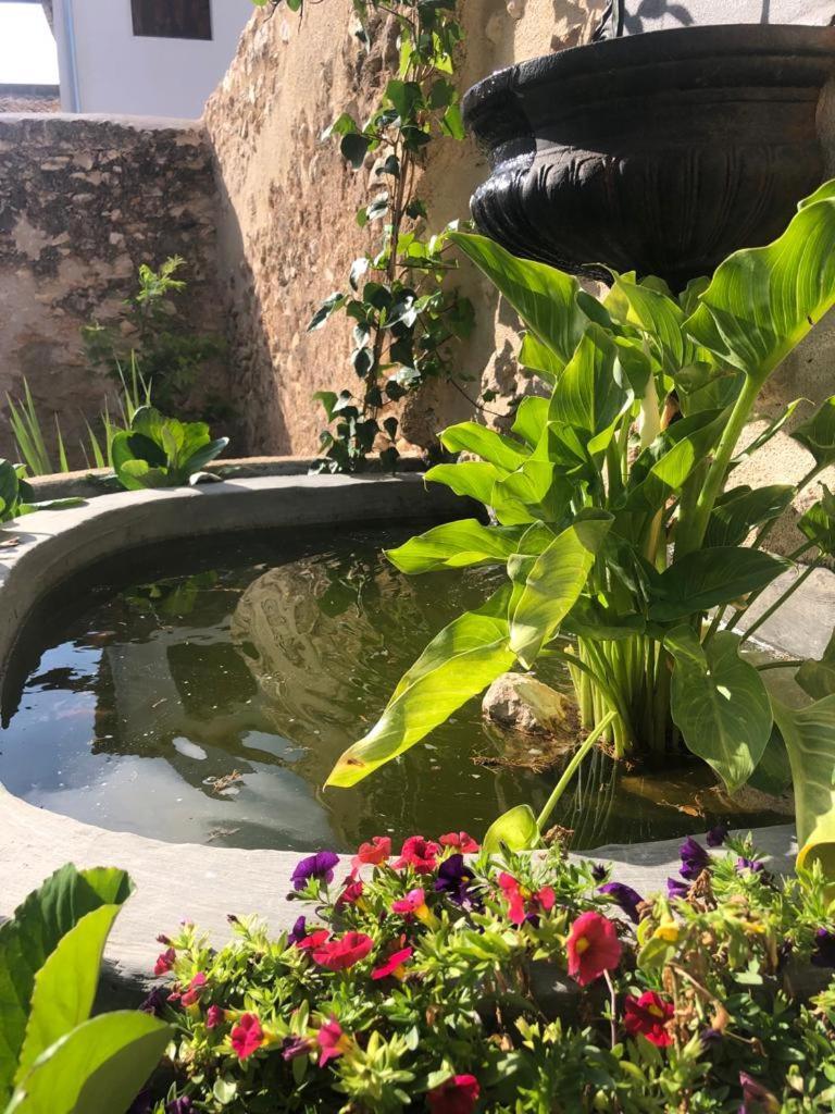 Ginestar Ca Margalef - Casa Rural Con Encanto מראה חיצוני תמונה